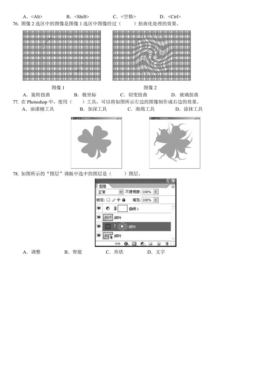 Photoshop图像处理模拟试题_第5页