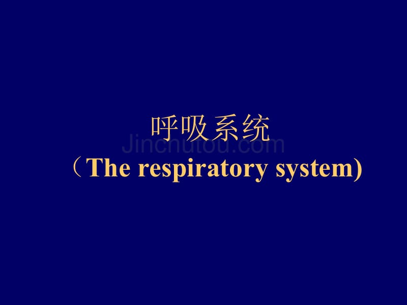 病理学呼吸系统精美附大量图片_第1页
