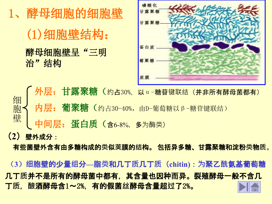 酵母菌的细胞结构与其他真核生物基本相同,右图是电子显微_第2页