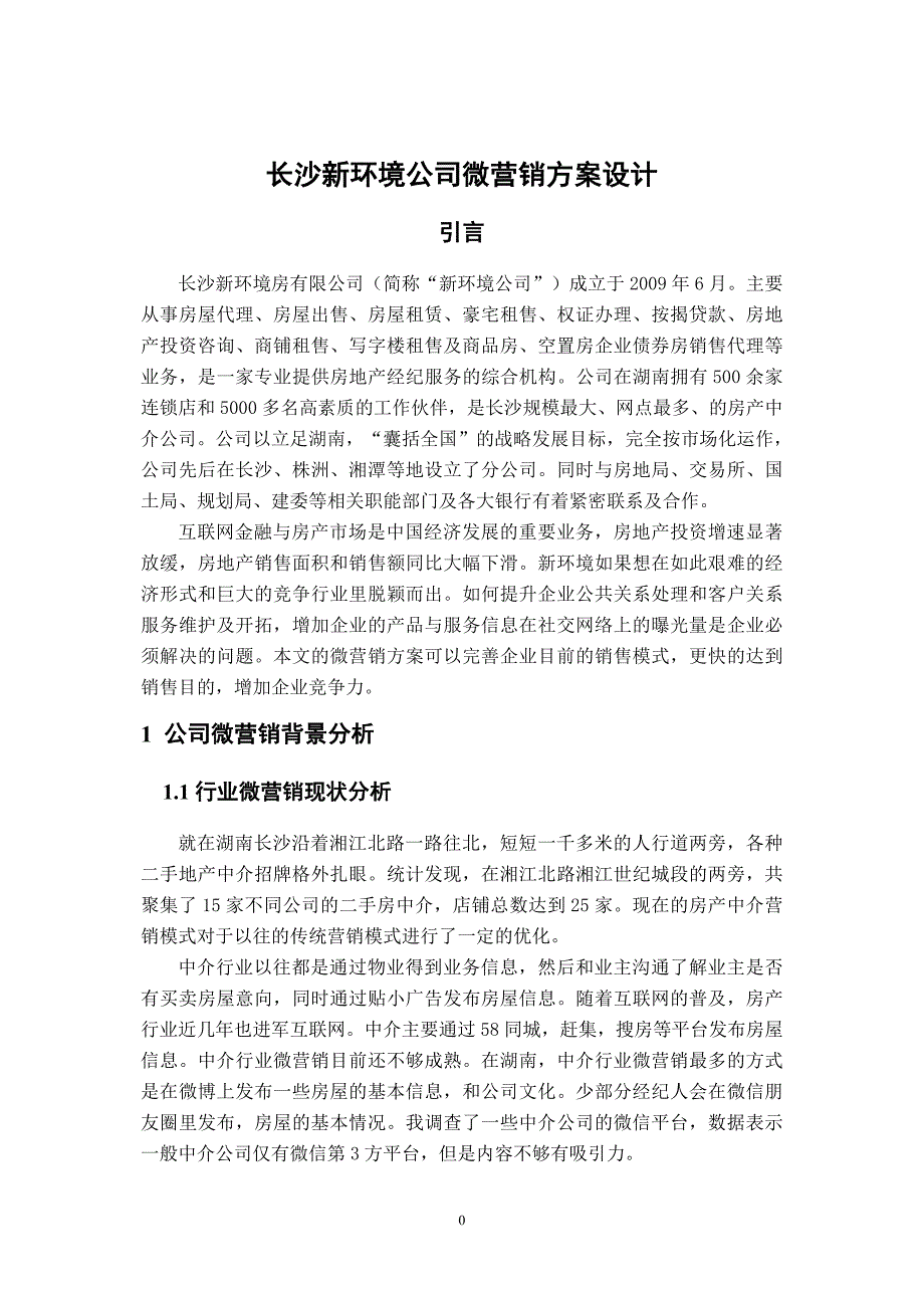 长沙新环境电子商务网络营销实施方案_第2页