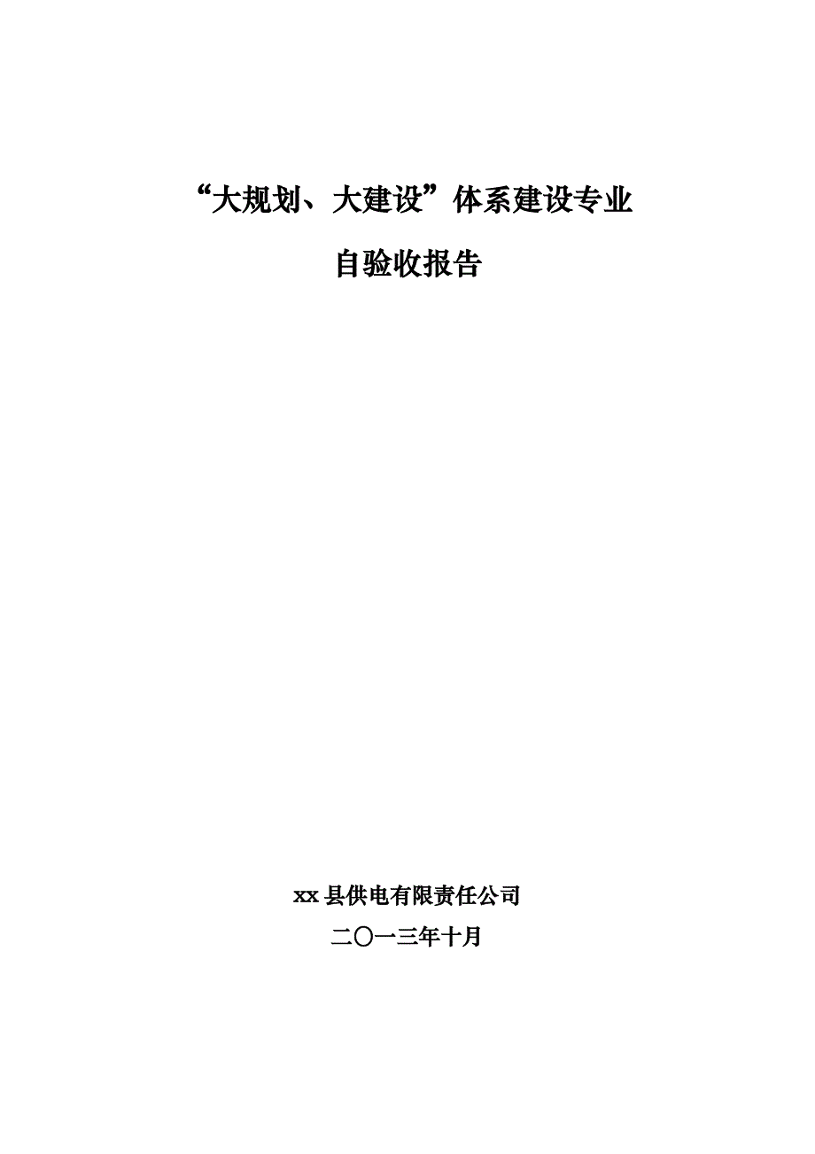 大规划大建设体系建设专业自验收报告_第1页