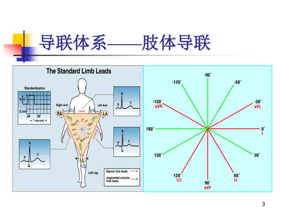 心电图诊断肥大和冠心病_第3页