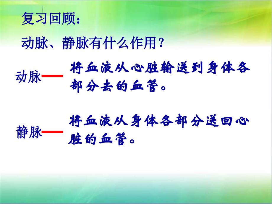 初中生物心脏_第1页
