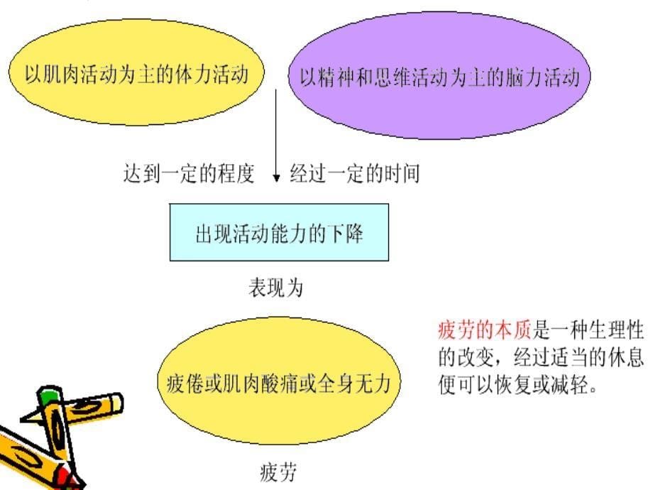 缓解体力疲劳_第5页