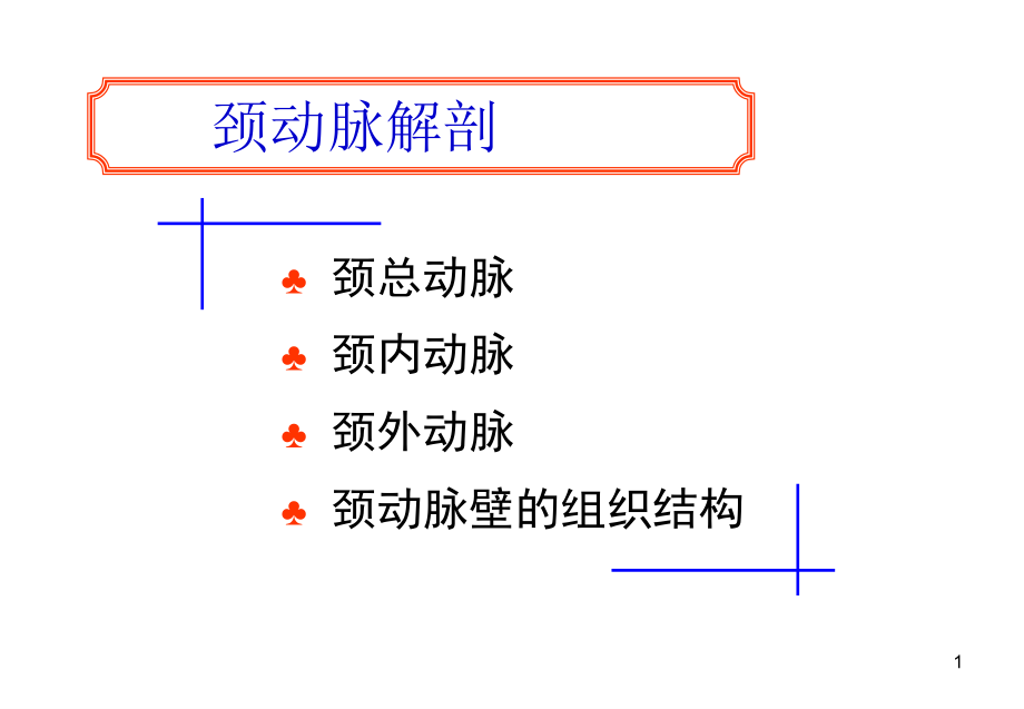 外周动脉解剖简明图_第1页