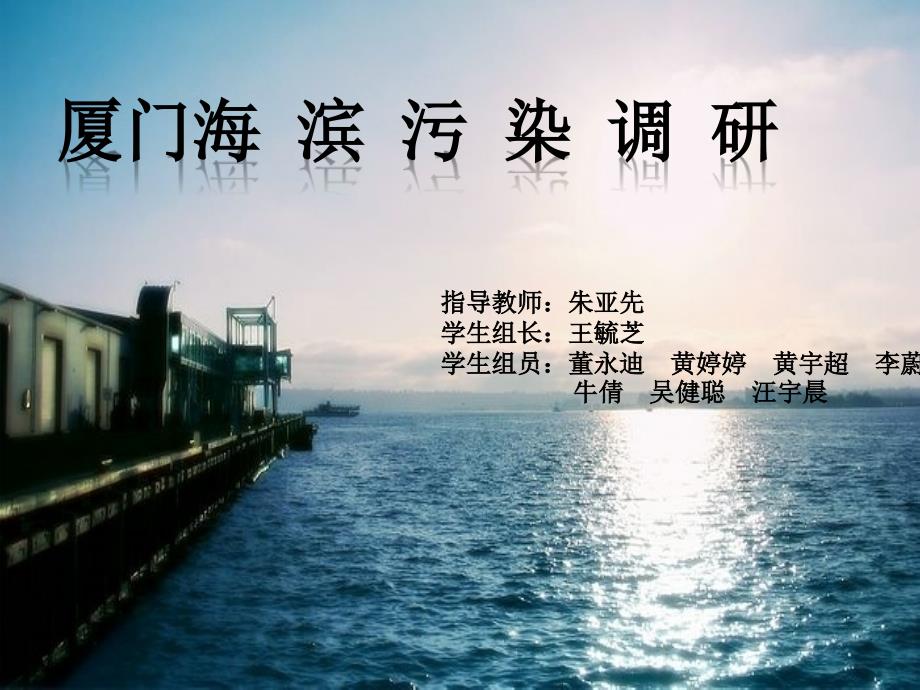 厦门海滨污染的调查研究_第1页