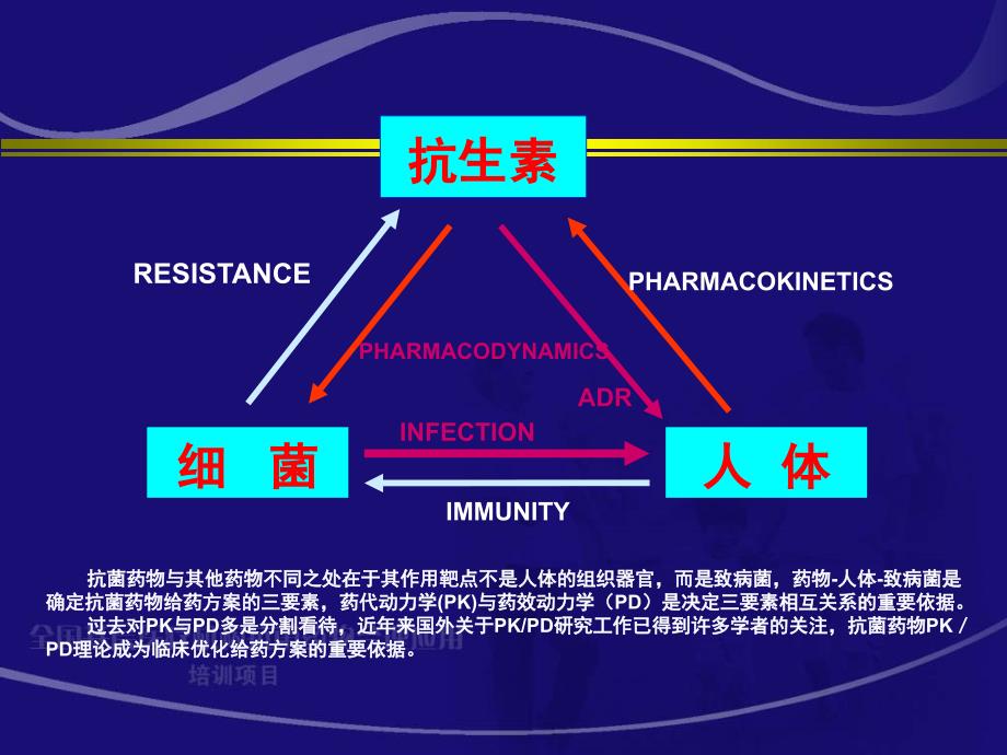 抗菌药物PKPD与临床应用研究王睿_第3页