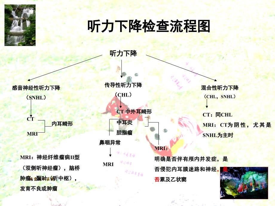 听力损失的影像学_第3页