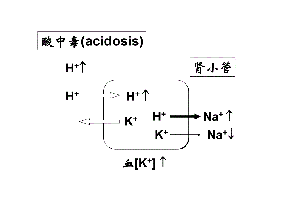 （二）高钾血症（hyperkalemia）_第4页