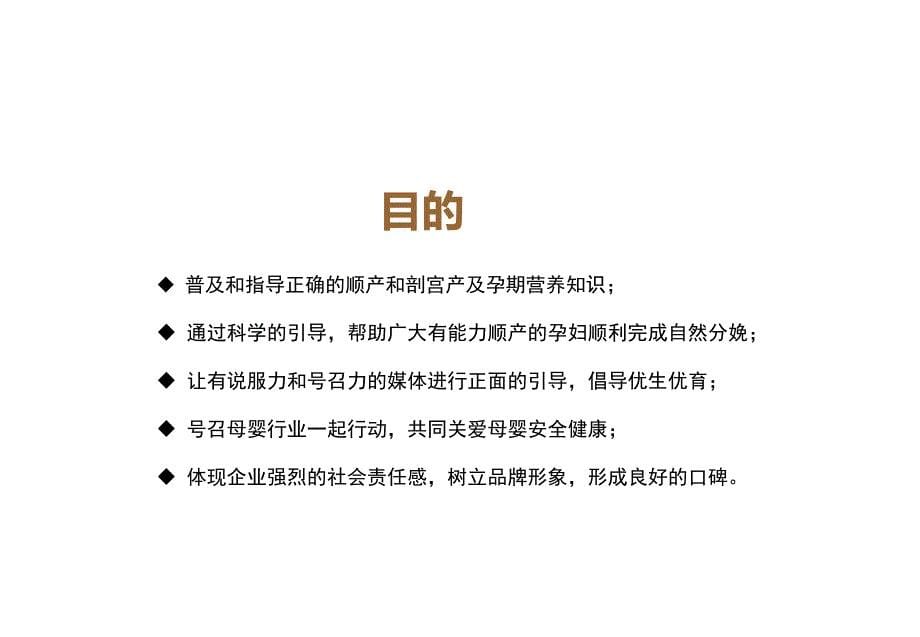 母婴健康行动之百人顺产计划方案书_第5页