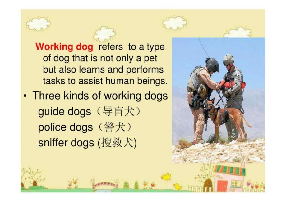 关于狗狗的英文_第4页