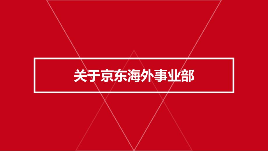 京东国际化丝路同出发——京东电商业务介绍模板_第4页