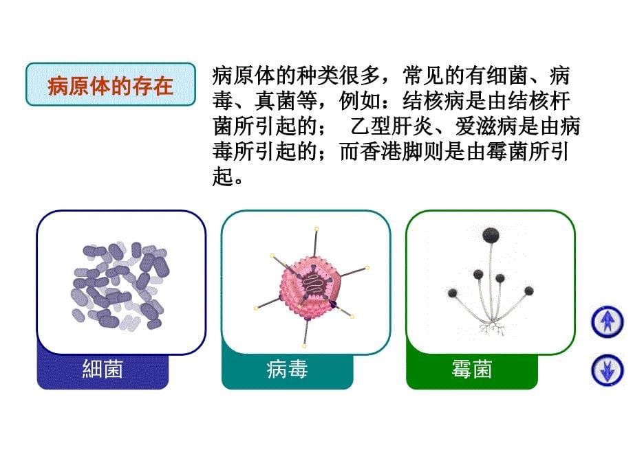 小学生传染病防治知识_第5页