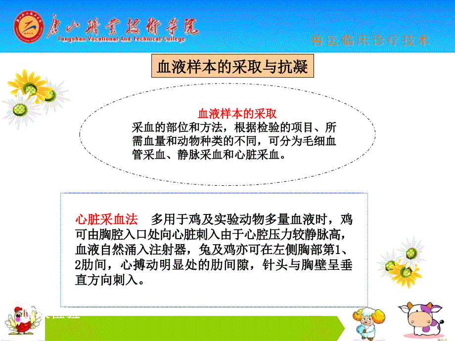 动物采血技术及血液常规检验_第4页