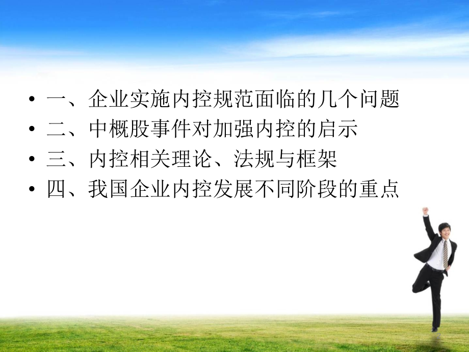 内部控制的原理、术语与概念(1)_第2页