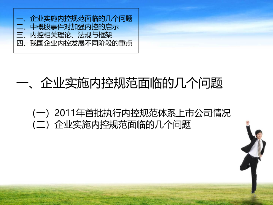 内部控制的原理、术语与概念(1)_第3页