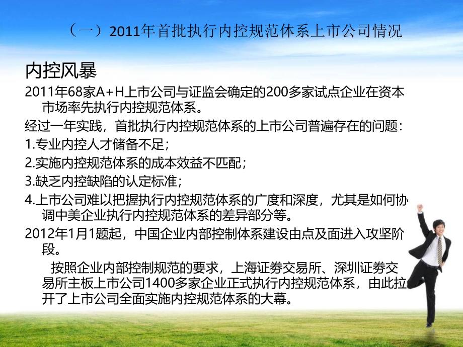 内部控制的原理、术语与概念(1)_第4页