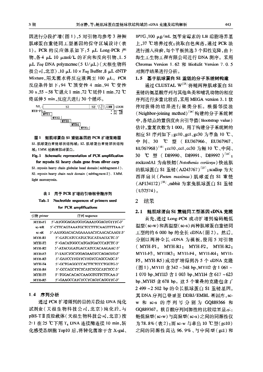 鲢肌球蛋白重链球状结构域的cDNA克隆及结构解析.pdf_第3页