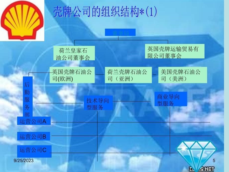 英荷壳牌公司_第5页