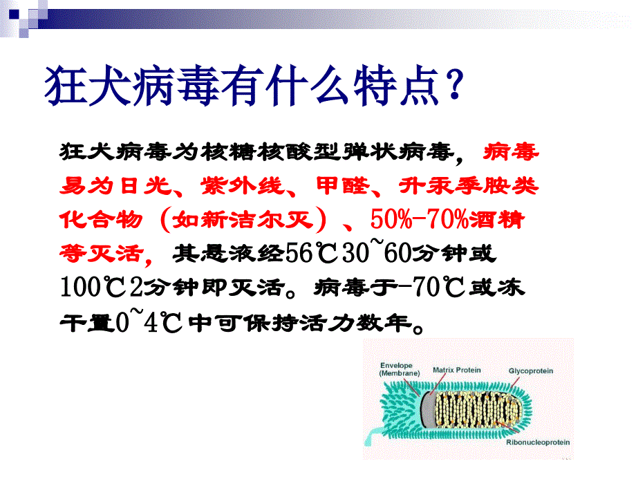 兰山区疾控中心狂犬病科普知识讲座_第3页