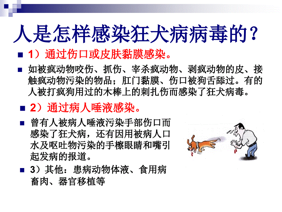 兰山区疾控中心狂犬病科普知识讲座_第4页