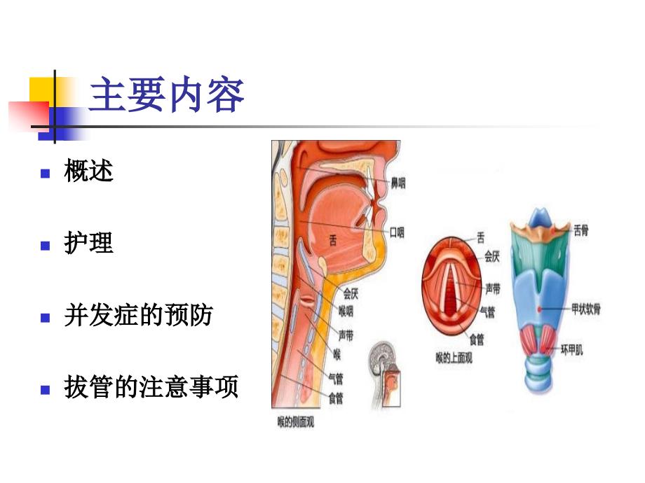 气管切开的护理_第2页