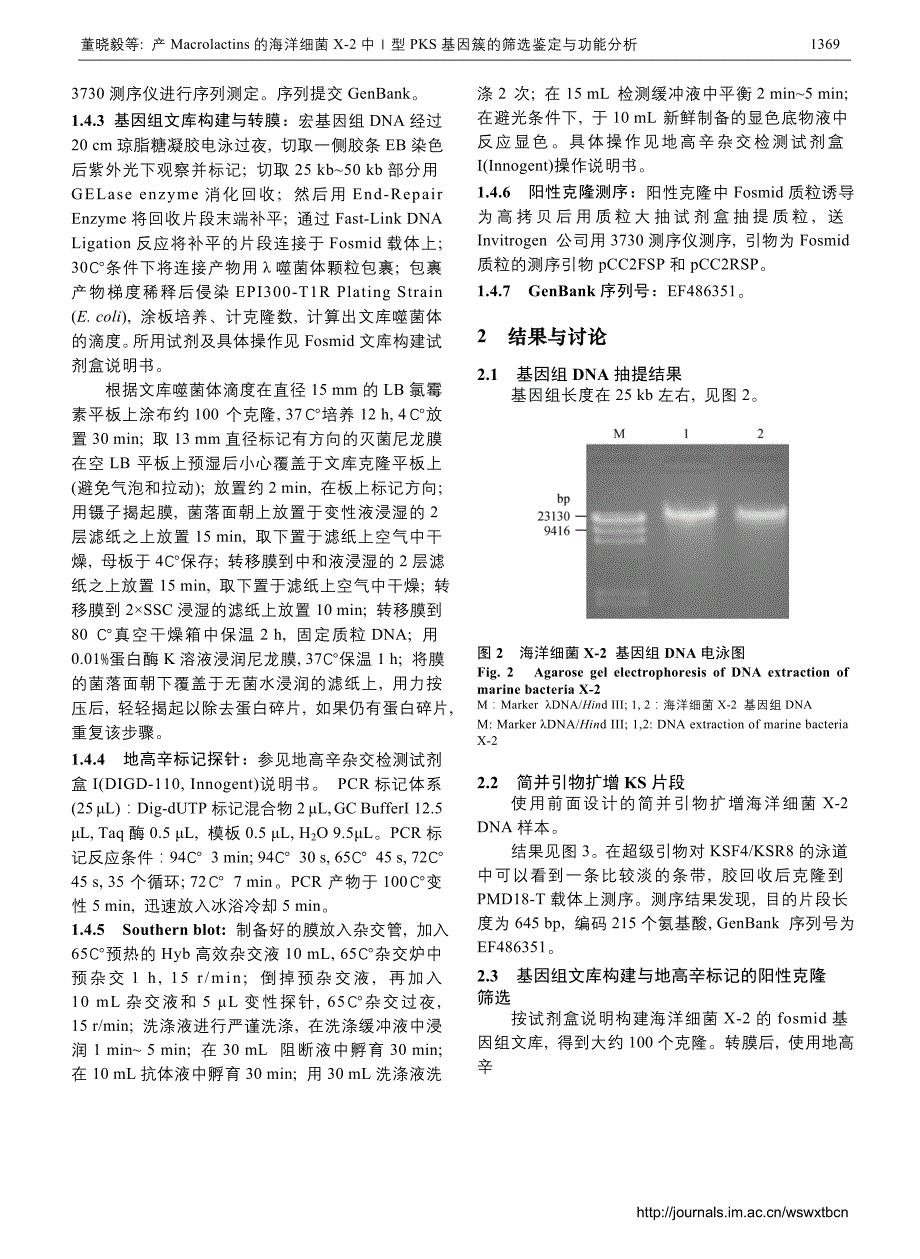 产macrolactins的海洋细菌x-2中ⅰ型_第3页