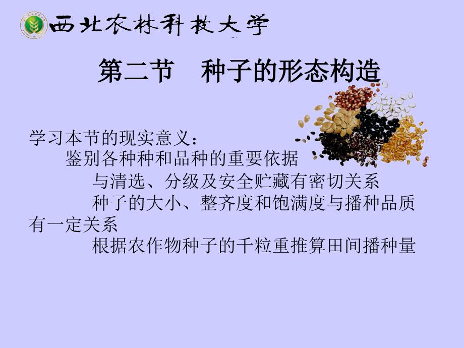 种子学chapter2.2 种子的形态构造_第1页