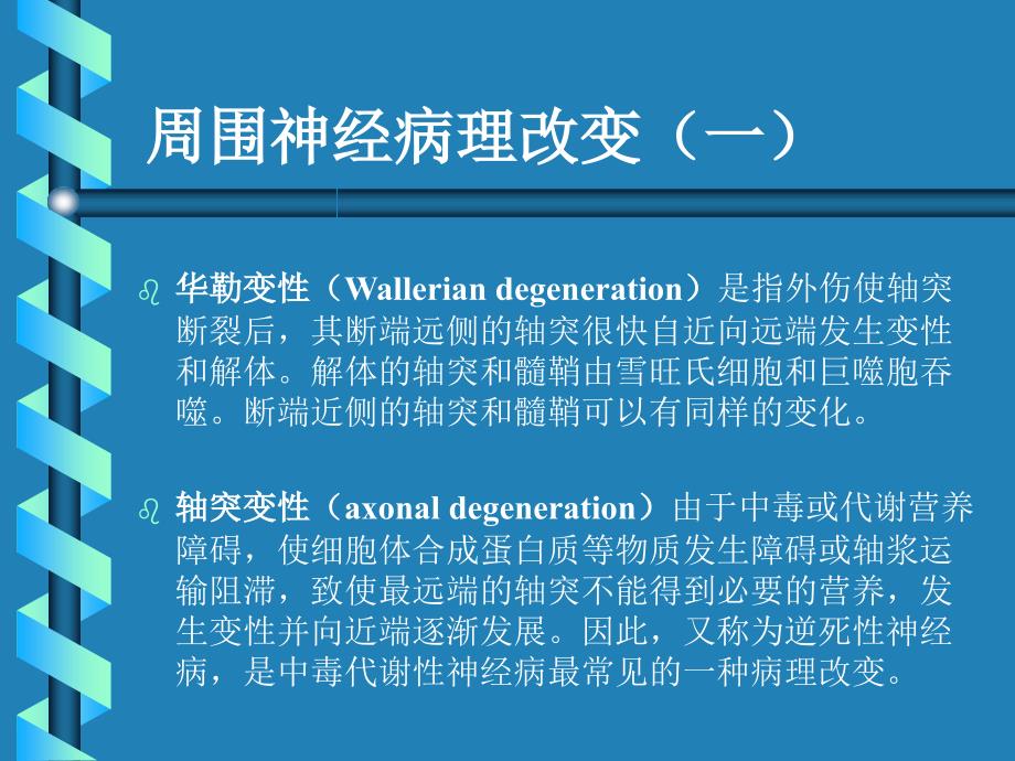 周围神经病进修生讲课课件_第4页