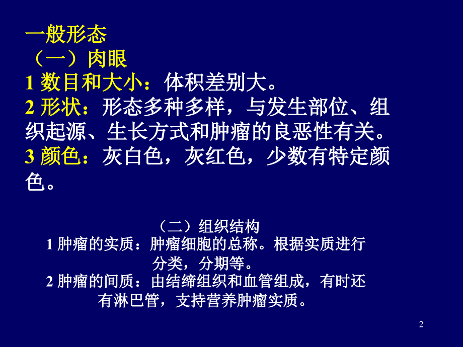 肿瘤 临床医学概论 教学课件_第2页