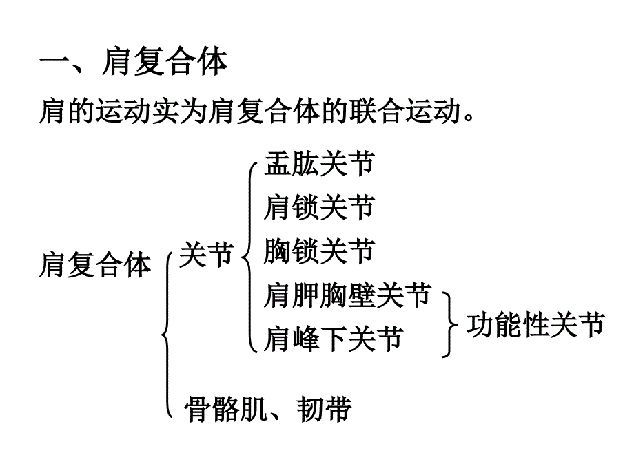 上肢关节运动_第2页