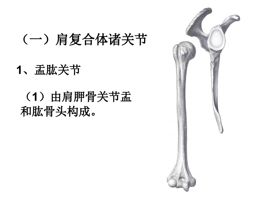 上肢关节运动_第3页