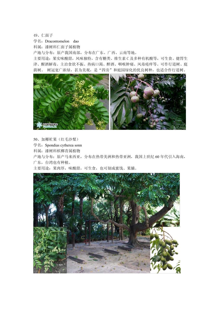兴隆热带植物园 植物配图-46-60高圣风_第3页