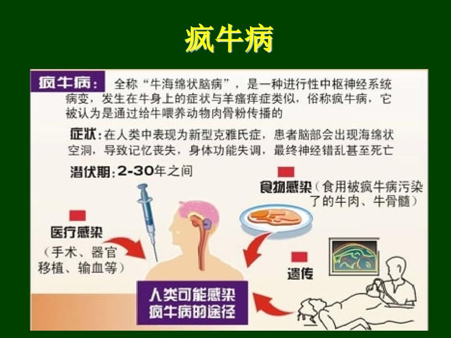 生物入侵与生物安全_第2页