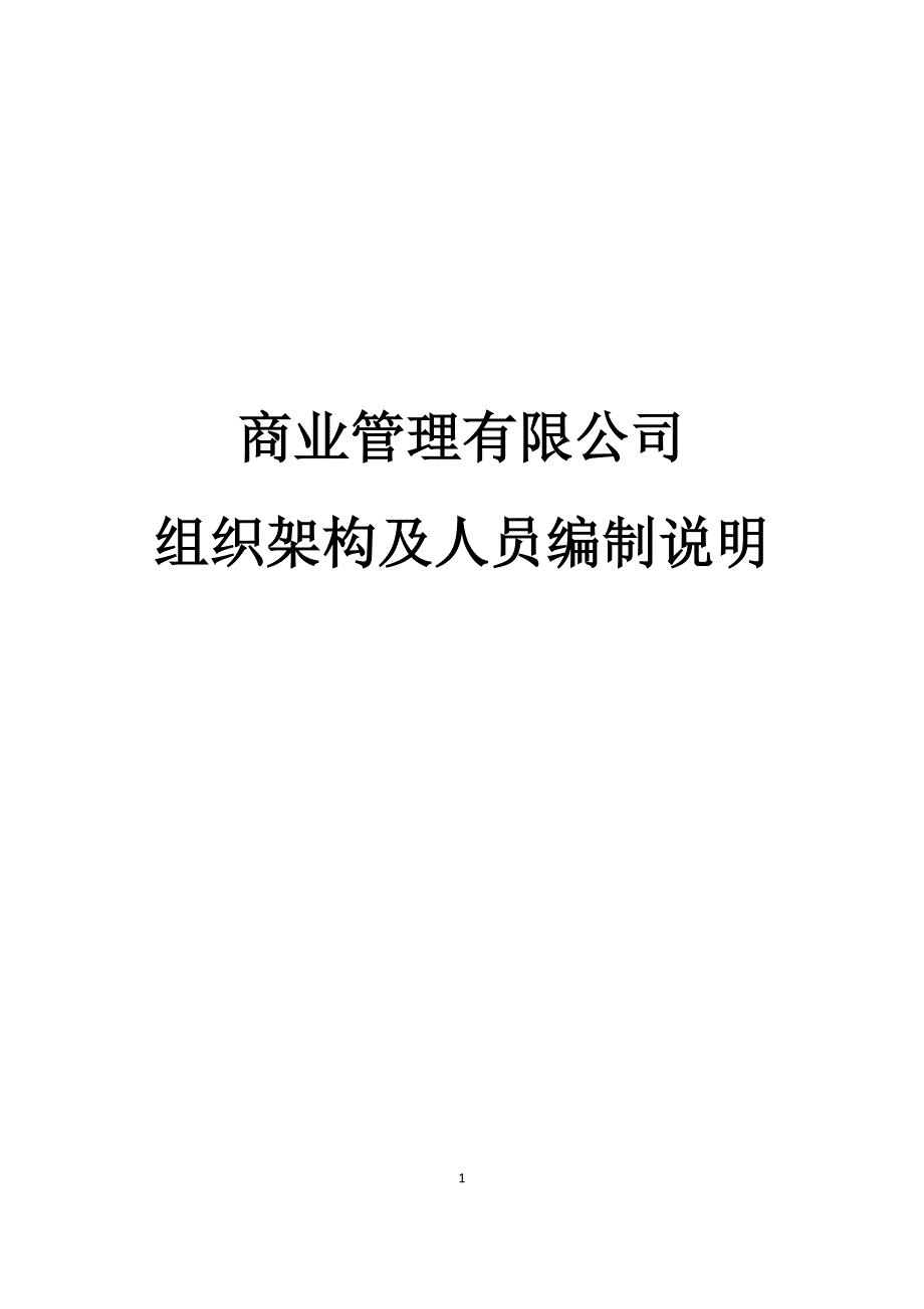 商业运营管理公司人员架构及岗位说明_第1页