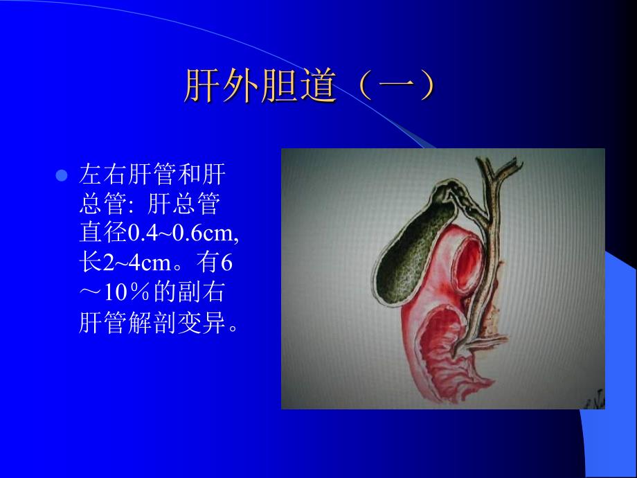 病理学 胆道疾病_第4页