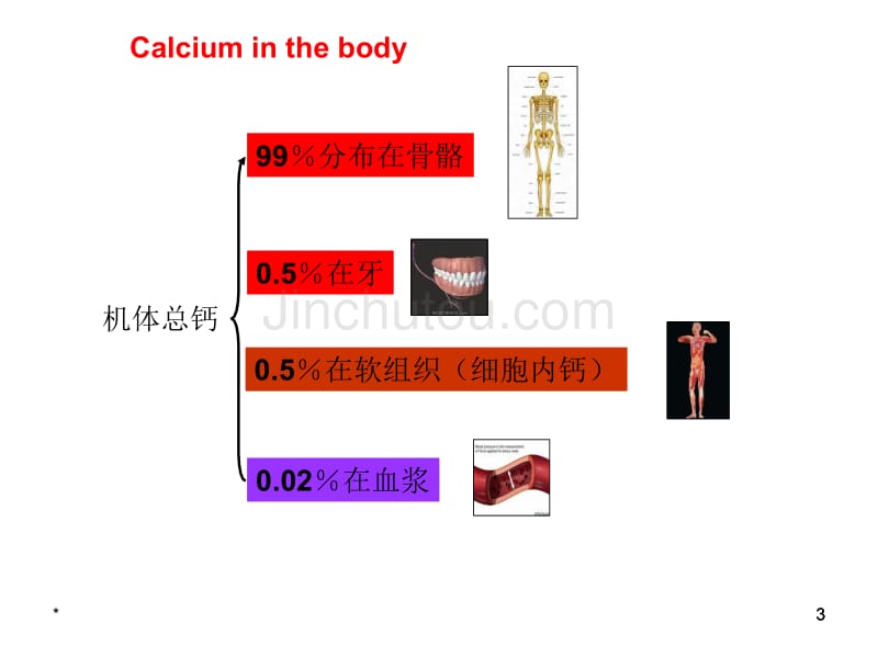 钙离子钙离子的生理作用_第3页