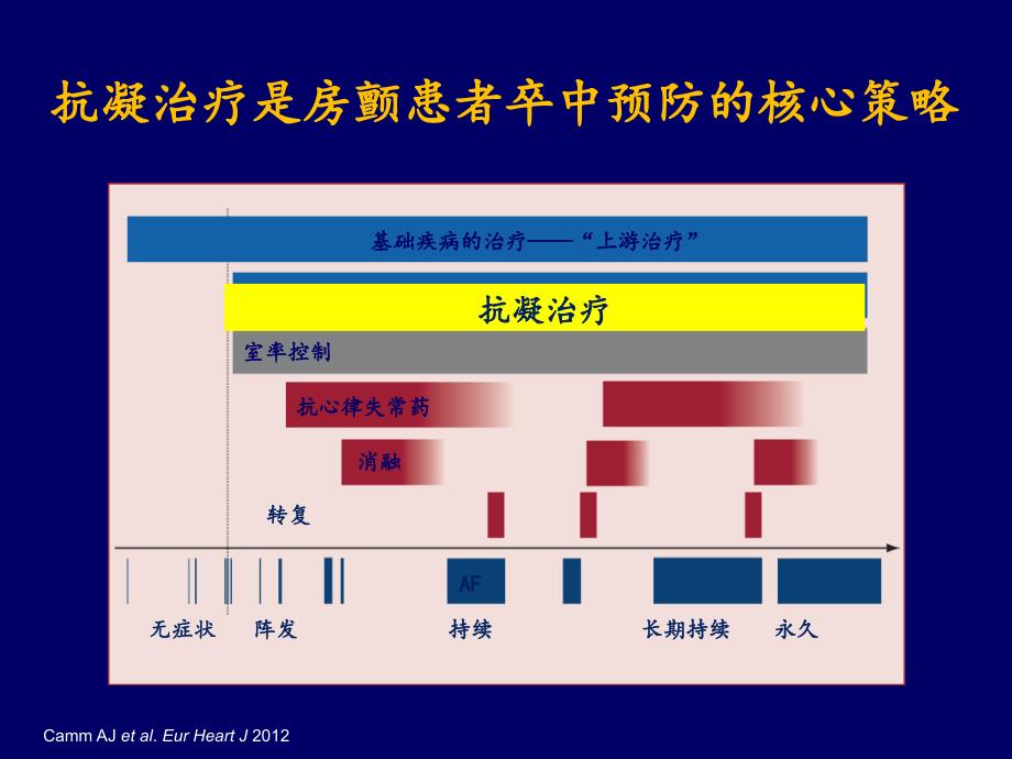 房颤抗凝治疗指南解读_第3页