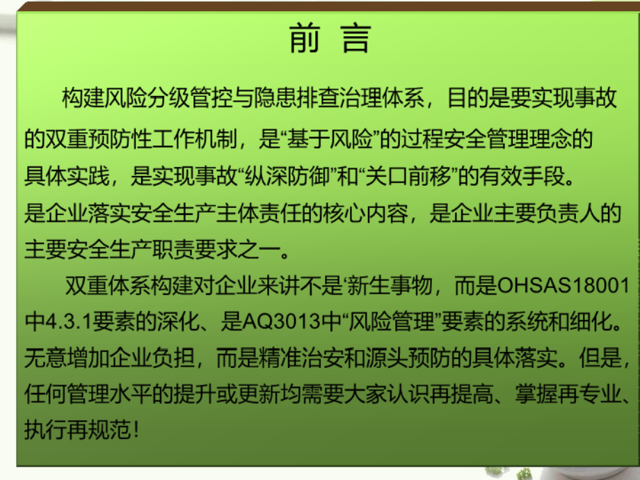 双重体系建设学习资料_第4页