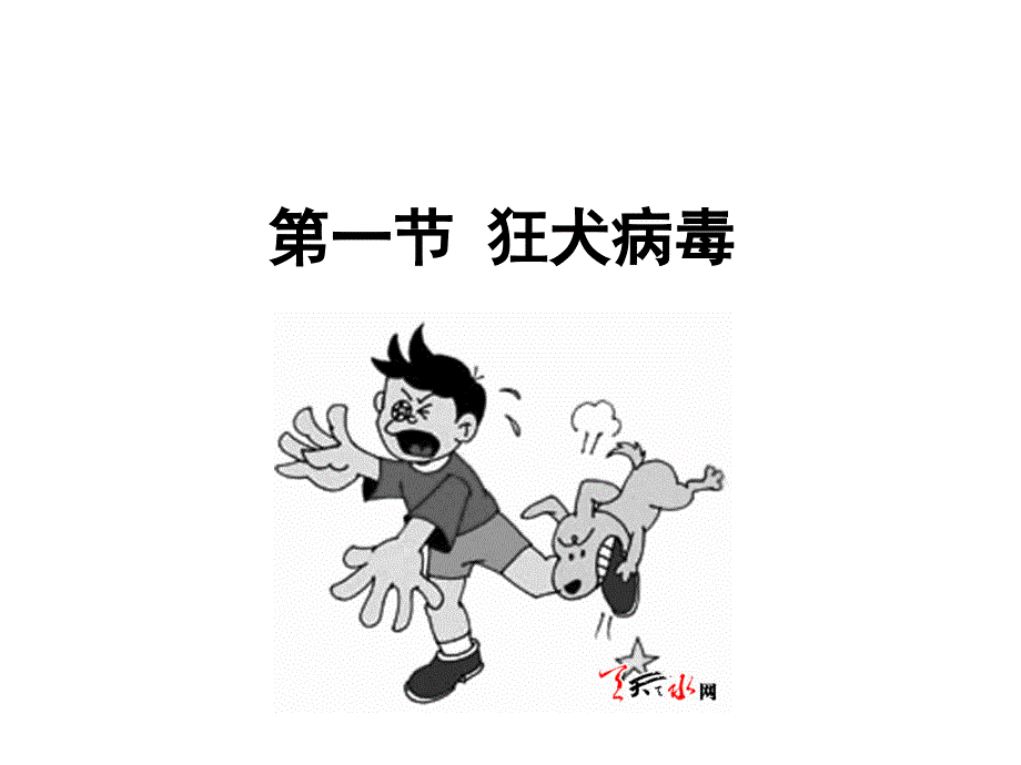 微其他病毒_第2页