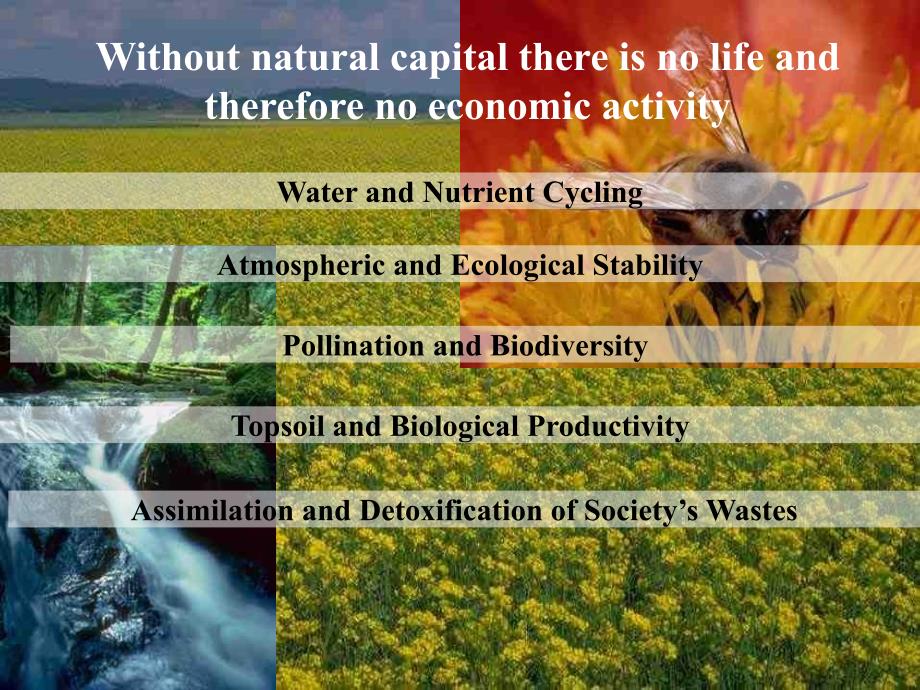 Natural Capitalism 自然资本主义_第4页