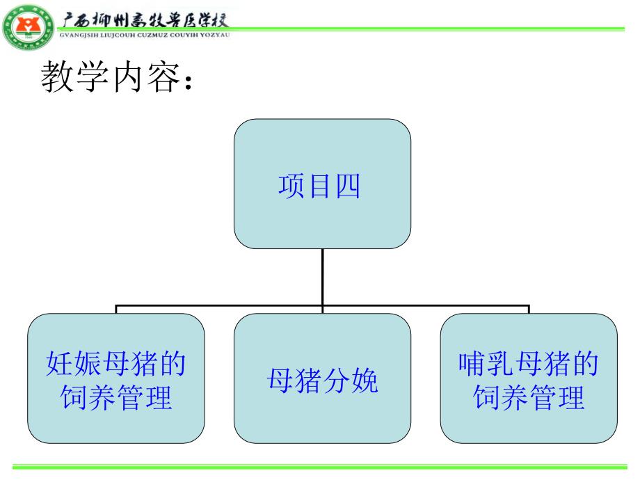 妊娠分娩哺乳母猪的饲养管理_第3页