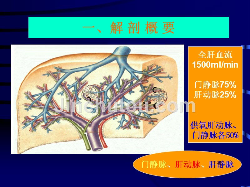 外科学门脉高压症_第4页