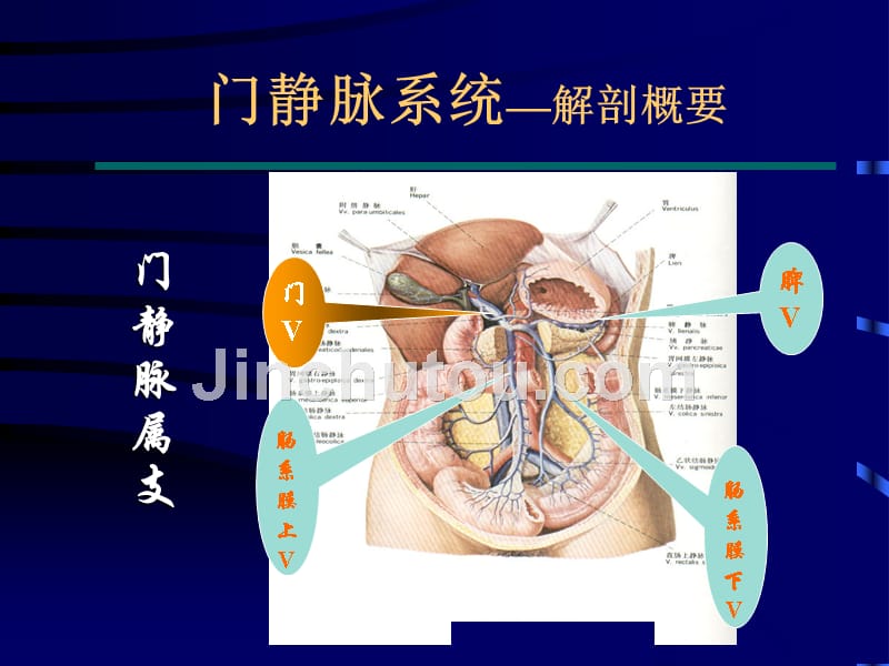 外科学门脉高压症_第5页