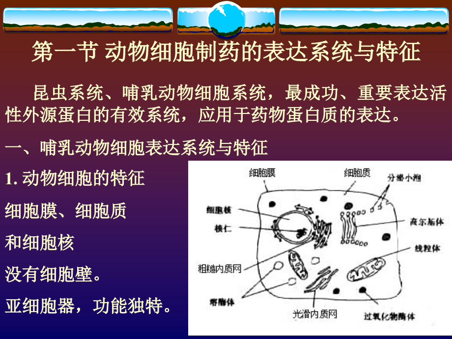 基因工程动物细胞培养制药工艺 - PowerPoint 演示文稿_第2页