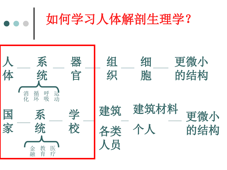 血液组成及功能(高职)_第2页