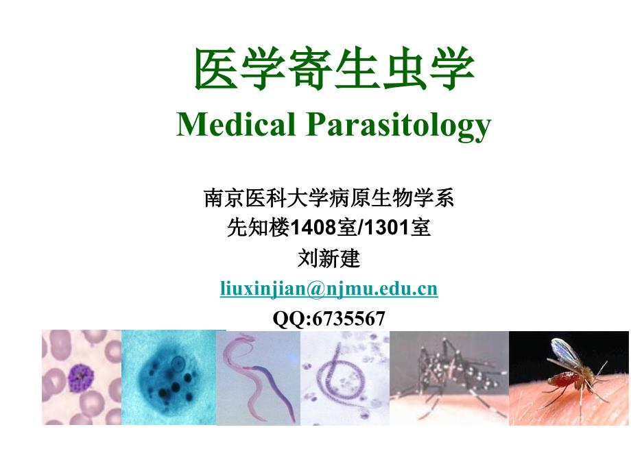 弓形虫隐孢子虫巴贝虫_第1页