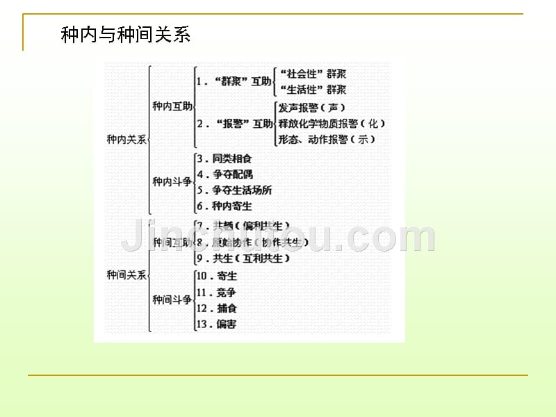 群落生态学修-13_第1页