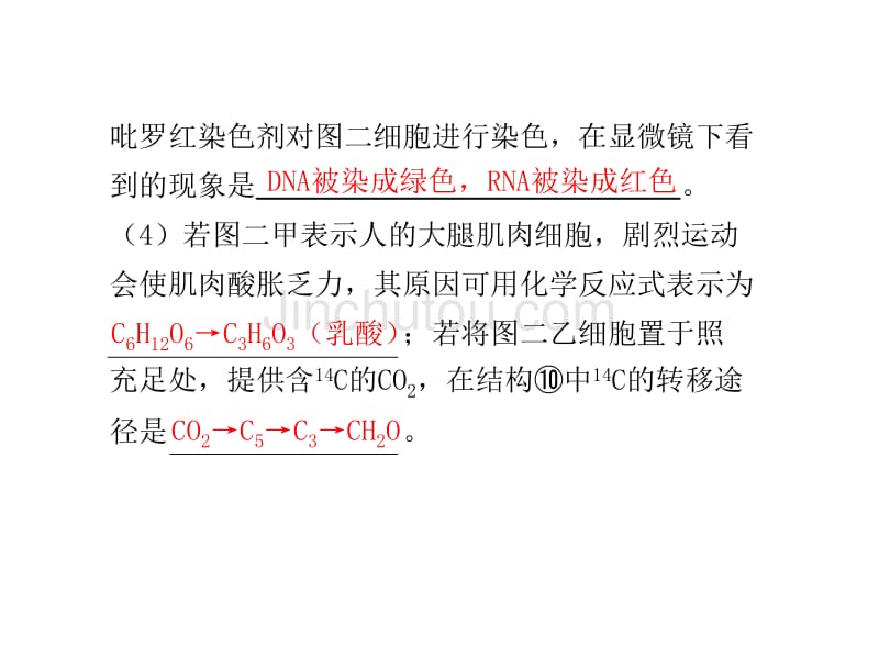 规范答题3有关物质组成和细胞结构综合应用案例_第3页