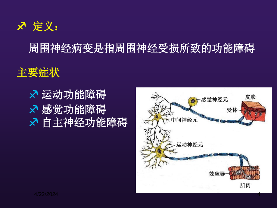 周围神经病变sl_第4页